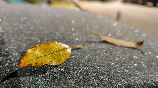 Россиянам рассказали о возможном возвращении заморозков в мае - «Новости»