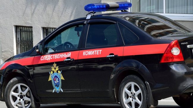 Дело возбудили на женщину, напавшую на контролера на северо-западе Москвы - «Новости»
