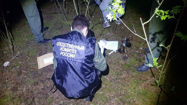 Тропа среди сосен. Кто убивает людей в лесу под Нижним Новгородом - «Криминал»