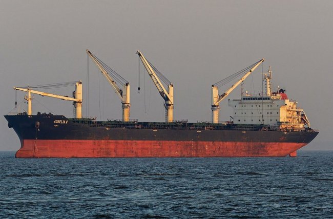 Фейк кремлевских СМИ: «Азов» силой удерживал в порту Мариуполя болгарское судно «Царевна» - «Антифейк»