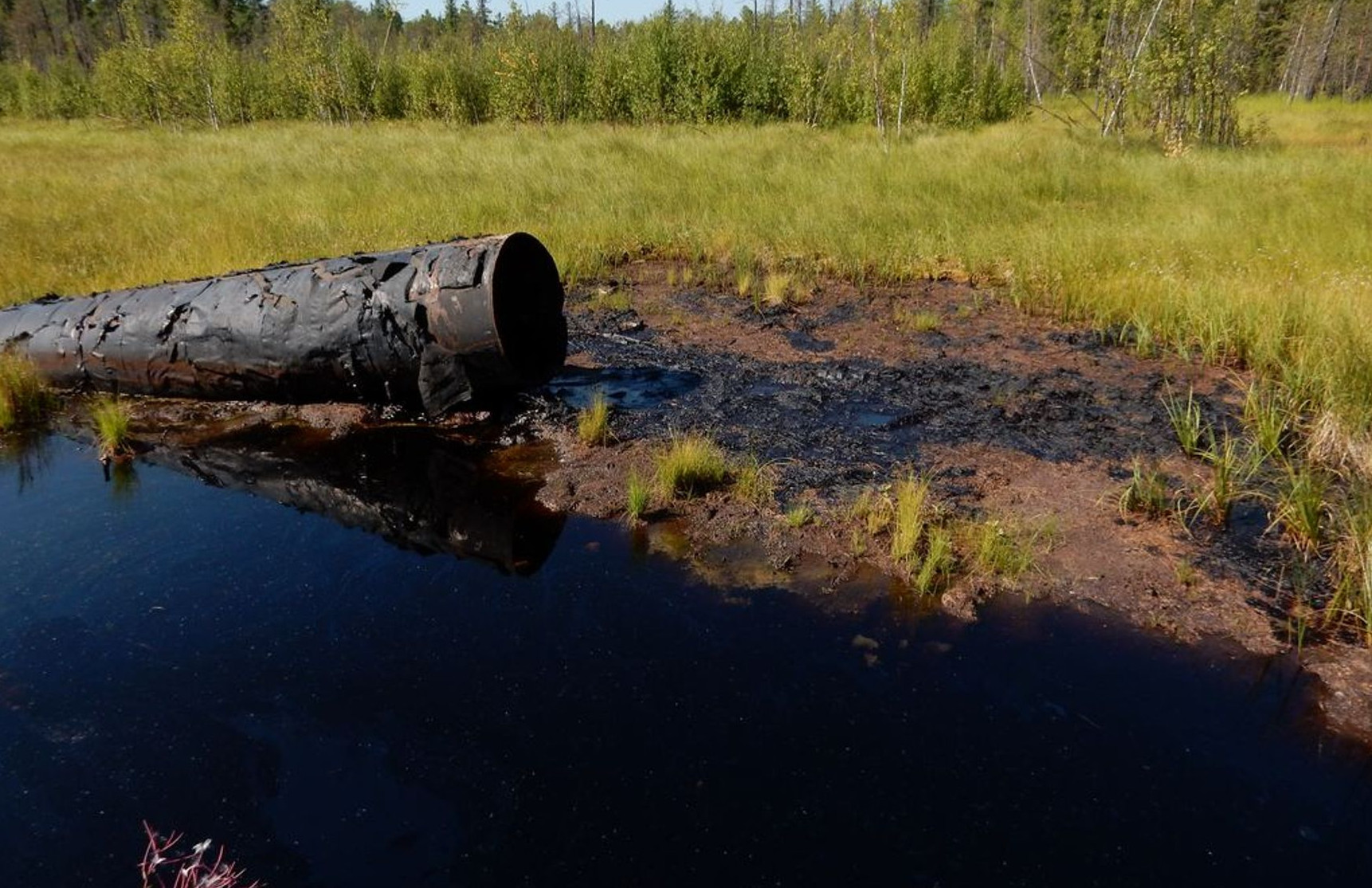Экологические проблемы южной сибири. Разлив нефти в Западной Сибири. Загрязнение почвы нефтью. Зягрязнениепочву нефть. Что загрязняет почву.