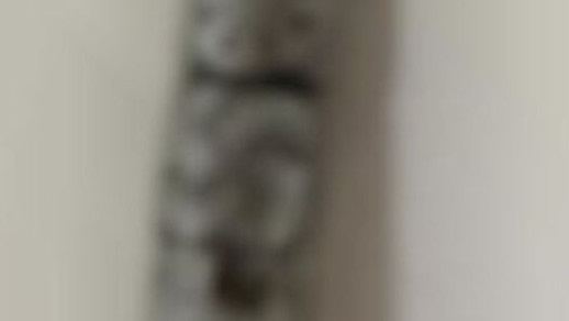 Кремлевские СМИ «нашли» свастику на браслете главкома ВСУ Залужного. Это оказался совсем другой символ - «Антифейк»