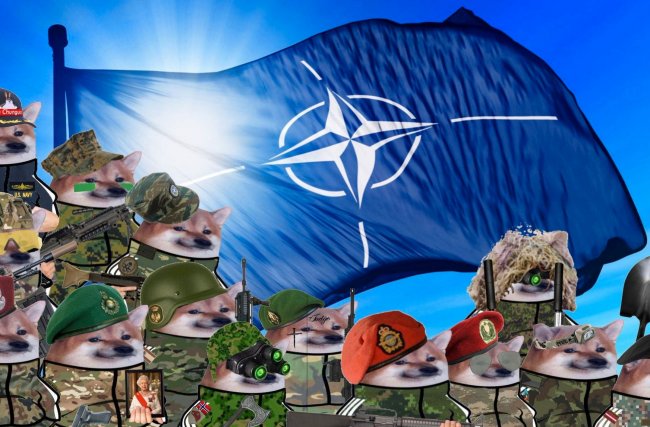 Захарова заявила, что деятельность движения NAFO сводится к травле. Однако оно борется с кремлевской пропагандой — и довольно успешно - «Антифейк»