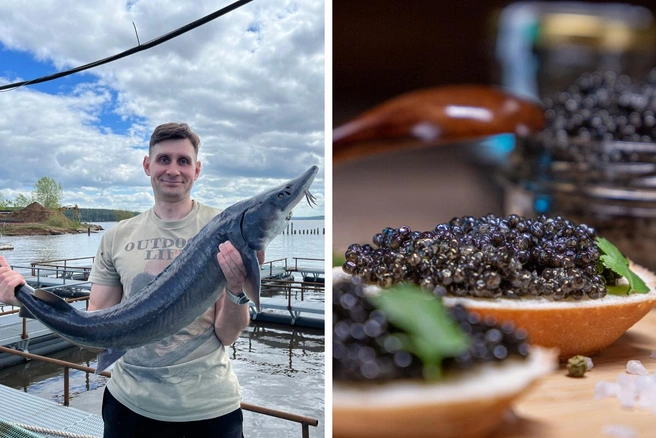 Как подоить осетра: фоторепортаж с фермы, где производят черную икру - «Новости бизнеса»