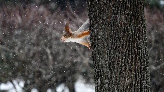 Синоптик Шувалов назвал самый холодный день недели - «Новости»