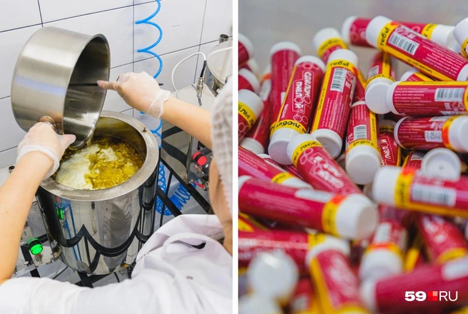 «Начинали в заброшенной школе». Как маленькая сельская пасека превратилась в бизнес на всю страну - «Новости бизнеса»