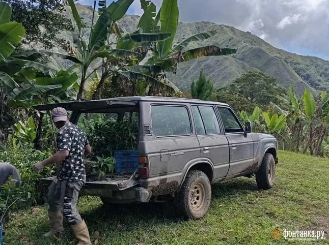 «Постепенно скатываемся в суррогат». Российский бизнесмен выращивает какао в Венесуэле — что происходит на рынке шоколада - «Новости бизнеса»