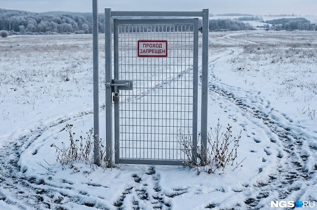 «Люди адаптируются». О перспективах блокировки Telegram на примере другой популярной соцсети - «Новости бизнеса»